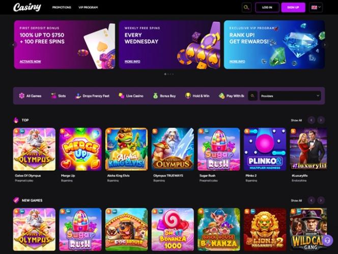 Exploring the Excitement of Casiny Casino