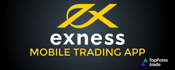 Discover the Benefits of Exness Metatrader 4 Web Terminal